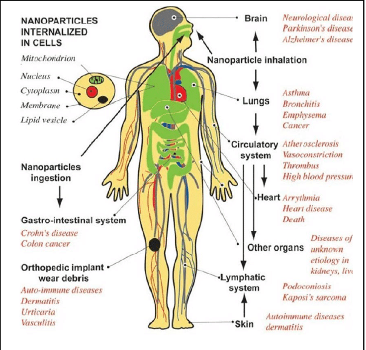 Toxicity-of-nanoparticles-43